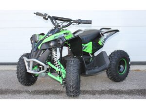 Elektro Midi-Quad  Renegade Brushless 1060W 36V