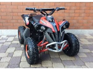 Beriebsbereit Elektro Midi-Quad  Renegade Brushless 1060W 36V