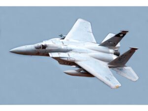 F-15C Eagle - Power-Version, 90mm EDF, Spw 965mm, PNP-Set von Freewing