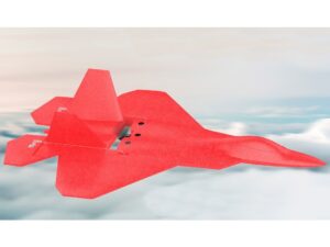 Mini Parkflyer F22-580, Spw 580mm, ARF-Set von HSD