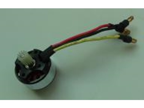 Brushless Motor 3800KV zu RC Flying Pterosaur, Spw 1300mm, ROCSKY