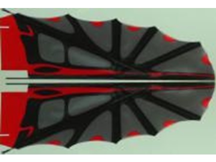 Tragflächen zu RC Flying Pterosaur, Spw 1300mm, ROCSKY