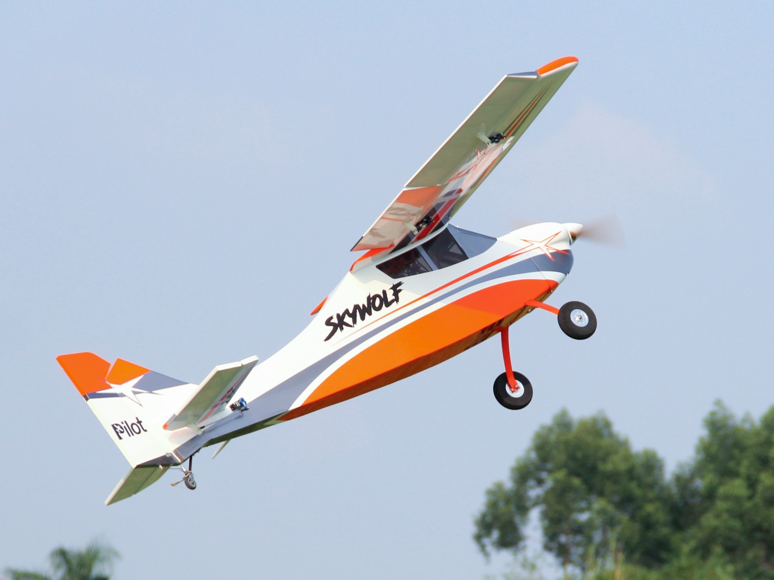 Skywolf V2 - 73, 40ccm, Spw 1850mm, ARF-Modell von PILOT-RC – Bild 5