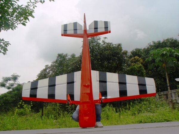YAK M55, 50ccm, Spw 2240mm, ARF-Modell von PILOT-RC – Bild 2