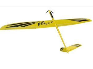 Voll CFK Elektrosegler Predator III / PIII - Spw 2960mm - RCRCM