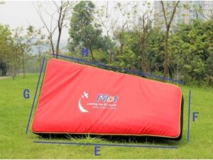 Tragetasche für Tragflächen / Flügeltasche für 30/35ccm Modelle und Viper Jet, Pilot-RC