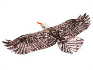Motorsegler RC Eagle II Adler EPP, Spw 1430mm, PNP-Set, DW-Hobby