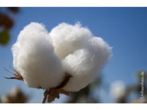 SCS  Baumwoll-Flocken weiss, 500ml