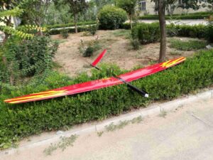 Voll GFK Elektrosegler F3B/F3F 300 - Spw 2900mm - RCRCM