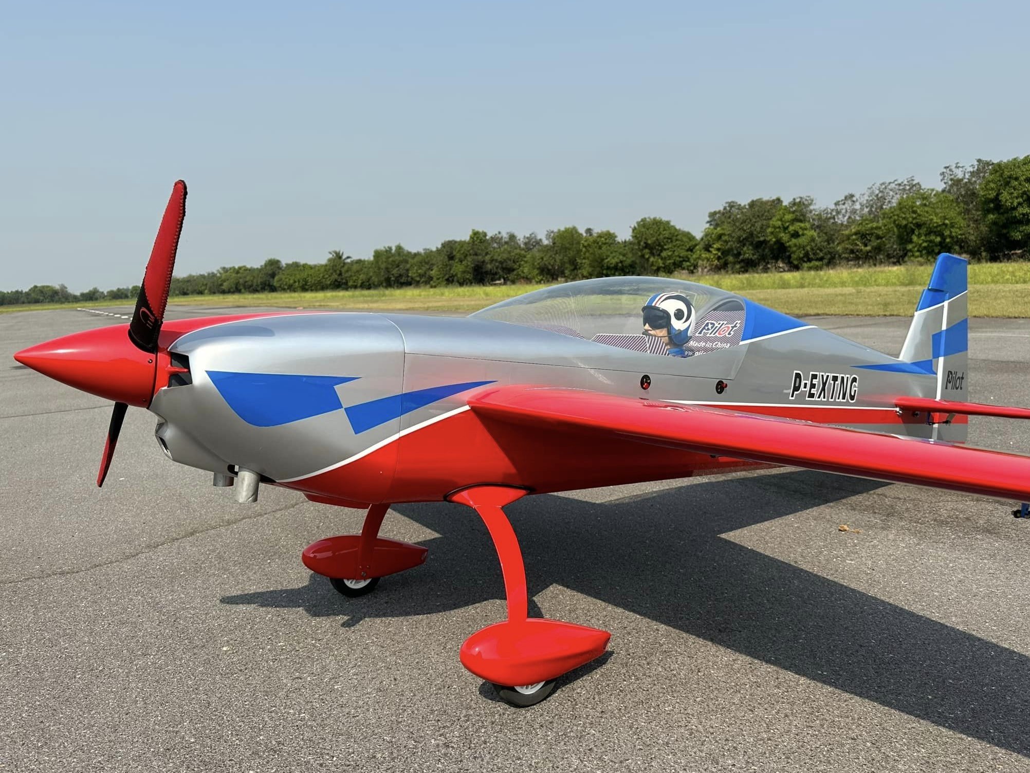 EXTRA NG-103 V2 - CFK / Carbon Competition - Spw 2600mm - ARF-Set - PILOT-RC – Bild 4