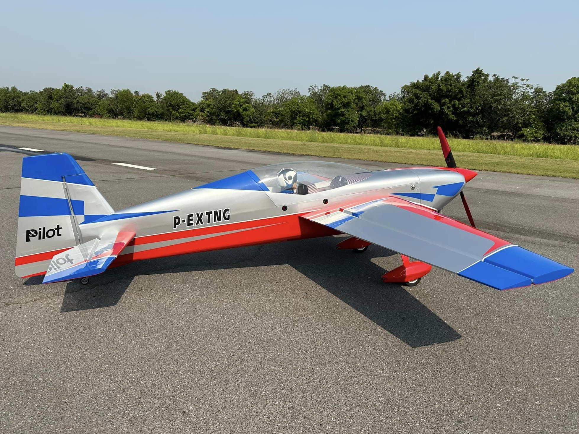 EXTRA NG-103 V2 - CFK / Carbon Competition - Spw 2600mm - ARF-Set - PILOT-RC – Bild 5