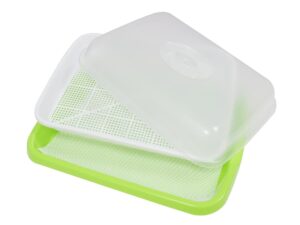 Hydroponik Keimschale mit Abdeckung, Siebeinsatz - 340x250 mm - 2er Set