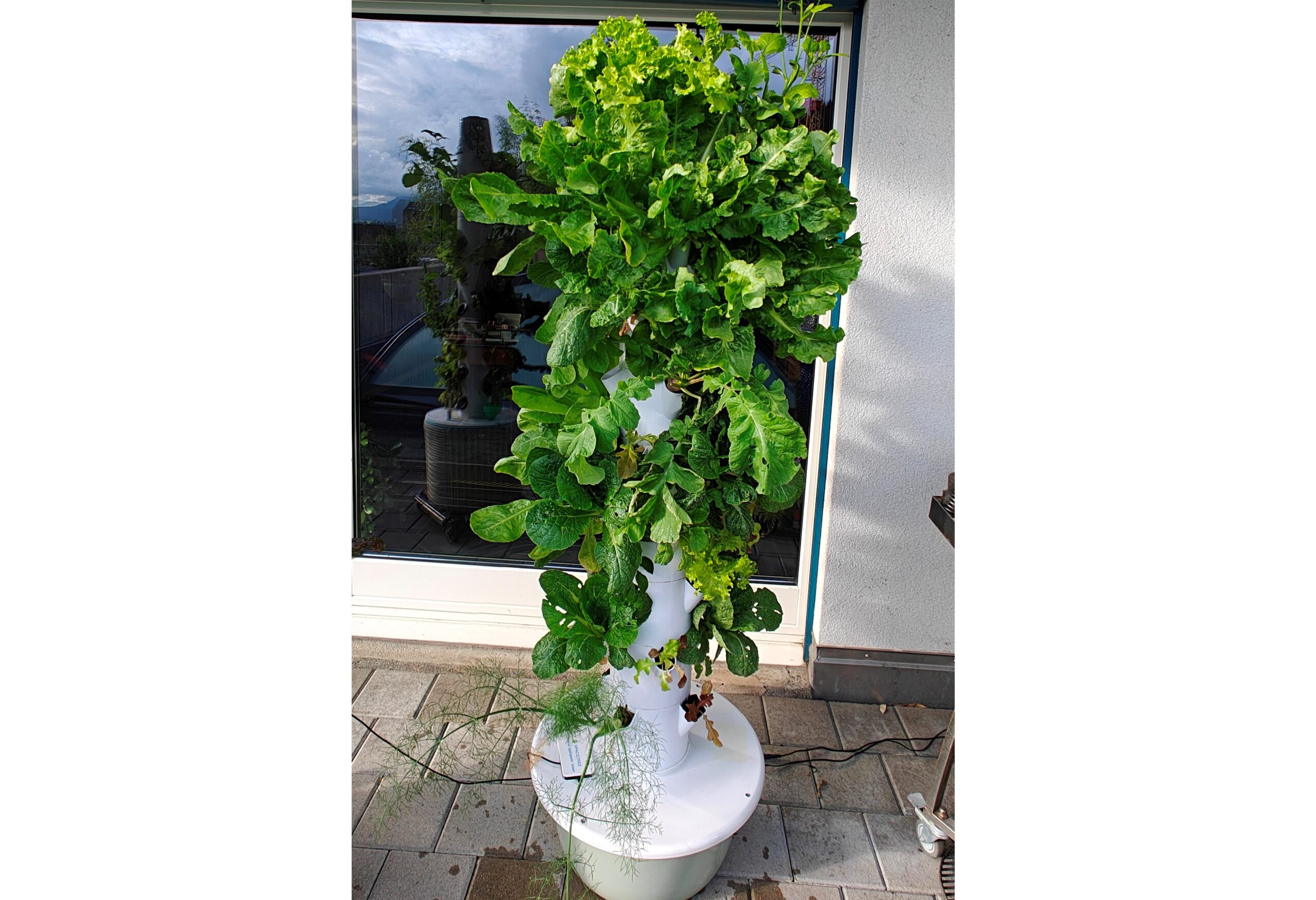 Hydroponik Turm Tropfsystem - 9 Etagen für Indoor-Gärtnern auf neuem Level – Bild 3