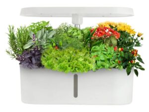 Hydroponik Indoor Garten Box - 8 Plätze mit LED-Wachstumslicht