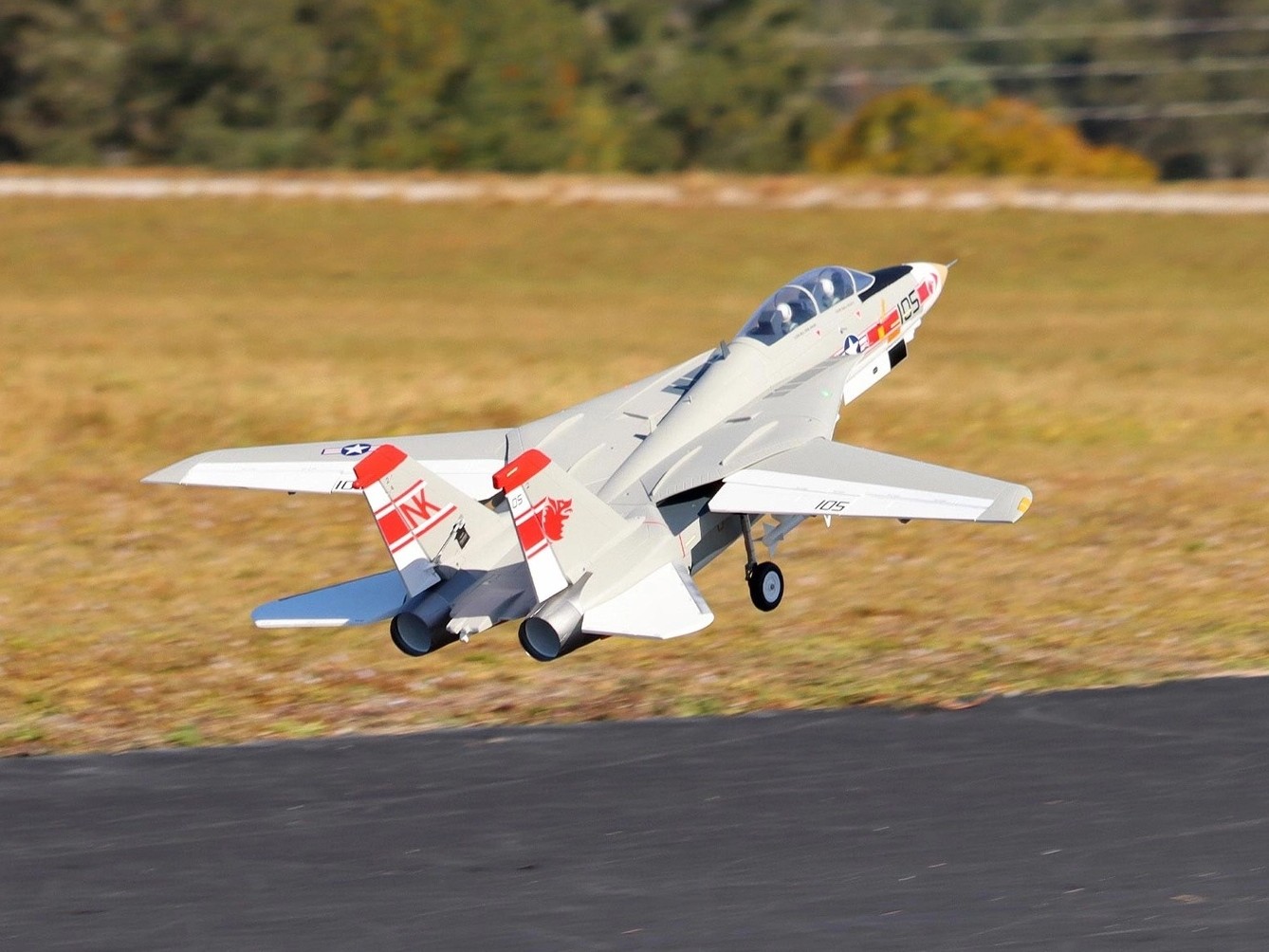 F-14 Tomcat V2 - Twin 64mm EDF Jet, Spw 1250mm, PNP-Set, Freewing – Bild 5