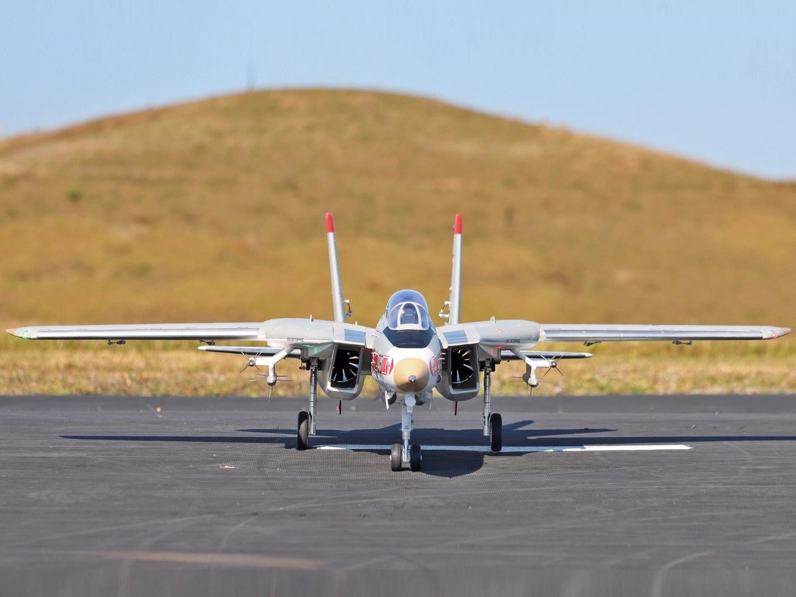 F-14 Tomcat V2 - Twin 64mm EDF Jet, Spw 1250mm, PNP-Set, Freewing – Bild 6